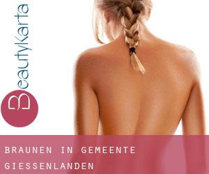 Bräunen in Gemeente Giessenlanden Bräunen in Gemeente Giessenlanden