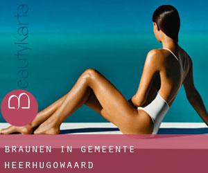 Bräunen in Gemeente Heerhugowaard Bräunen in Gemeente Heerhugowaard