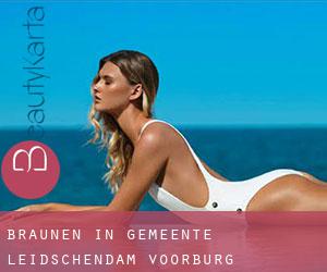 Bräunen in Gemeente Leidschendam-Voorburg Bräunen in Gemeente Leidschendam-Voorburg