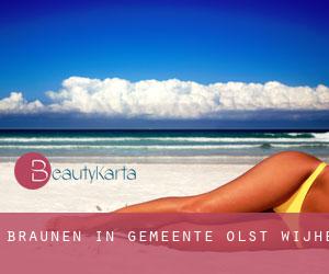 Bräunen in Gemeente Olst-Wijhe Bräunen in Gemeente Olst-Wijhe