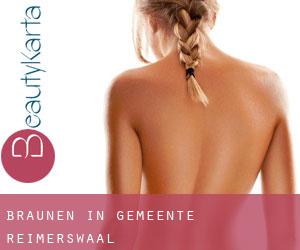 Bräunen in Gemeente Reimerswaal Bräunen in Gemeente Reimerswaal
