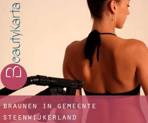 Bräunen in Gemeente Steenwijkerland Bräunen in Gemeente Steenwijkerland
