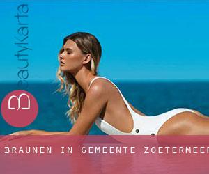 Bräunen in Gemeente Zoetermeer Bräunen in Gemeente Zoetermeer