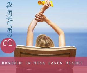Bräunen in Mesa Lakes Resort
