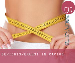 Gewichtsverlust in Cactus