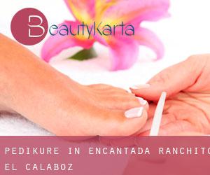 Pediküre in Encantada-Ranchito-El Calaboz