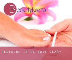 Pediküre in Le Bois-Clary