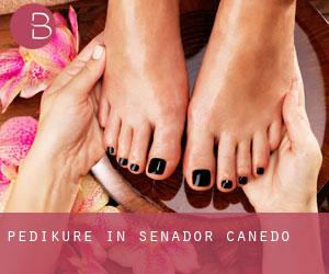 Pediküre in Senador Canedo Pediküre in Senador Canedo