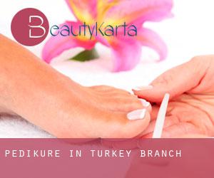 Pediküre in Turkey Branch