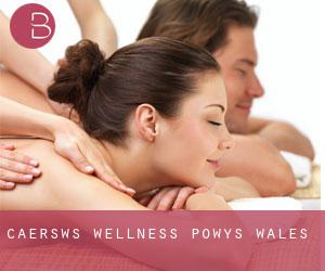 Caersws wellness (Powys, Wales)