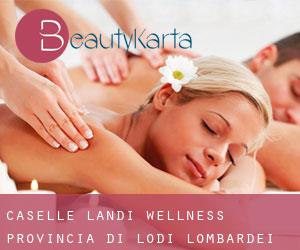 Caselle Landi wellness (Provincia di Lodi, Lombardei)