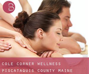 Cole Corner wellness (Piscataquis County, Maine)