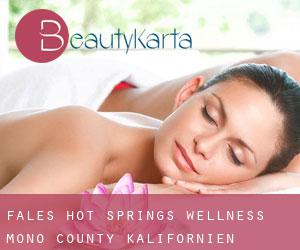 Fales Hot Springs wellness (Mono County, Kalifornien)
