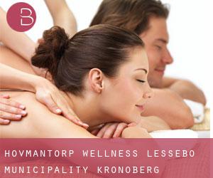 Hovmantorp wellness (Lessebo Municipality, Kronoberg)