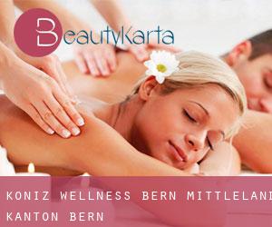 Köniz wellness (Bern-Mittleland, Kanton Bern)