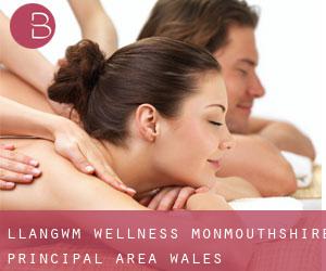 Llangwm wellness (Monmouthshire principal area, Wales)