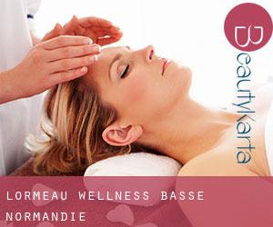 L'Ormeau wellness (Basse-Normandie) L'Ormeau wellness (Basse-Normandie)