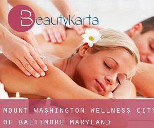 Mount Washington wellness (City of Baltimore, Maryland)
