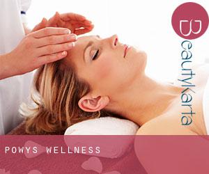 Powys wellness Powys wellness