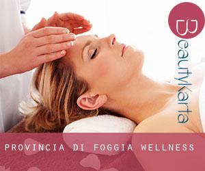 Provincia di Foggia wellness