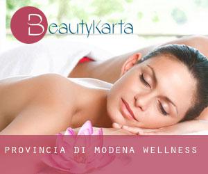 Provincia di Modena wellness