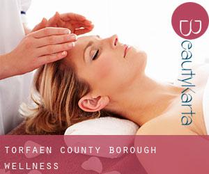 Torfaen (County Borough) wellness Torfaen (County Borough) wellness