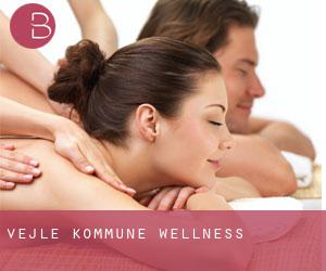 Vejle Kommune wellness